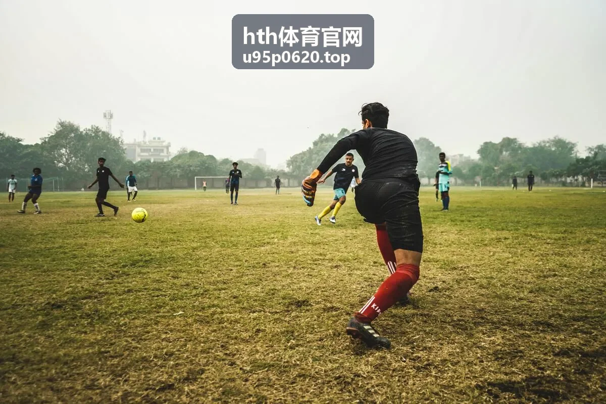 hth体育官网开播预告封面图
